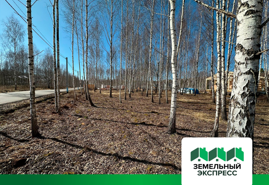 Расчистка участков от кустарника и сухостоя в коттеджном посёлке "Лесной остров"