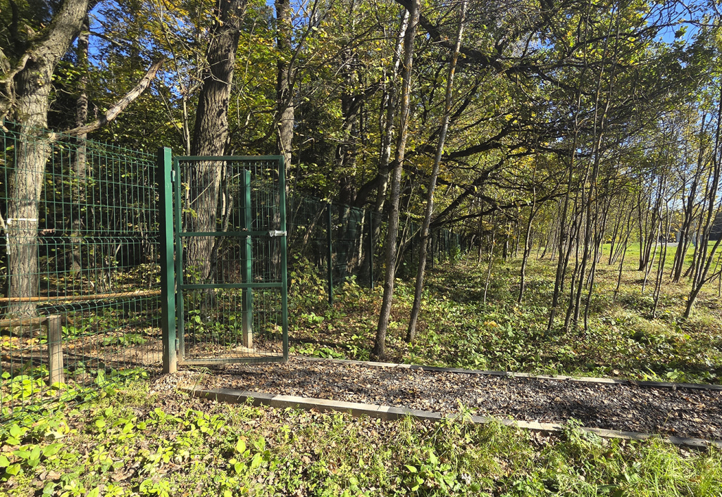 Благоустройство КП «Триумфальный»: обновление зелёных зон