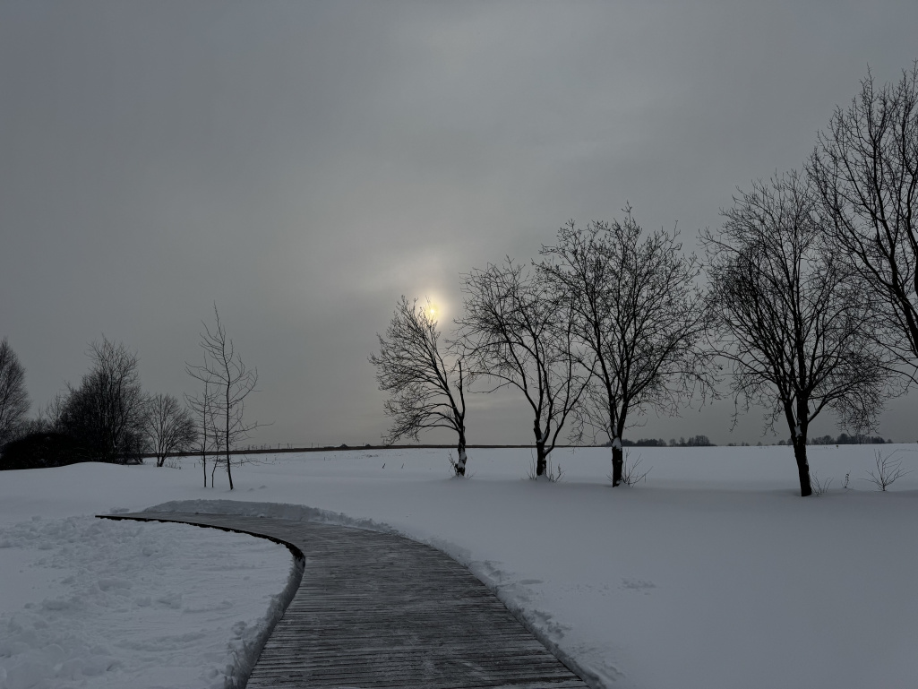 КП «Грибоедово»: благоустроили зону набережной.