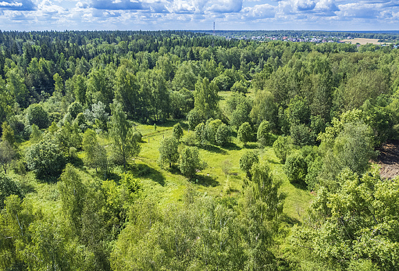 Астра