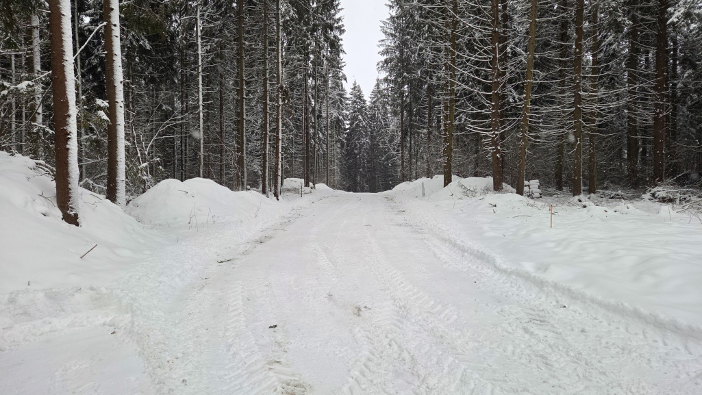 Зимний порядок в «Рига Лес»