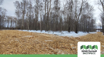 Работы по обустройству дорожной сети в поселке "Дивный"