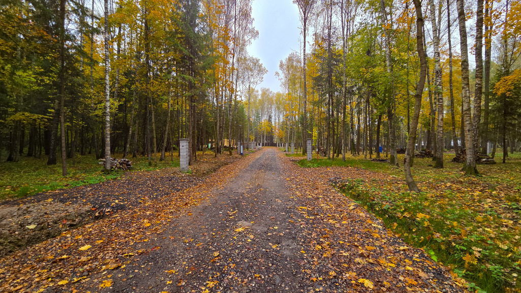 «ПриЛесной»: завершена отсыпка всех заездов