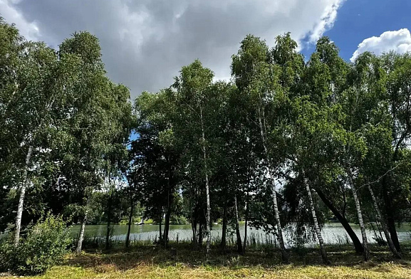Есенино