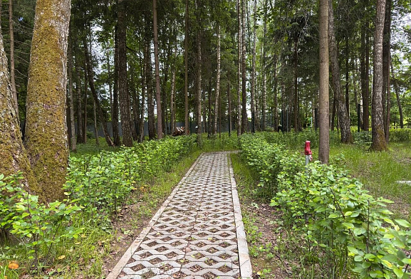 ПриЛесной