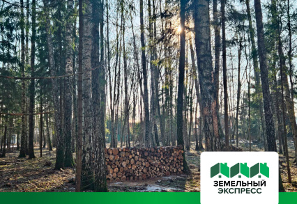 Посёлок бизнес-класса "ПриЛесной"