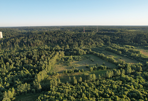 Формула
